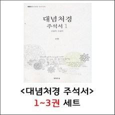 대념처경