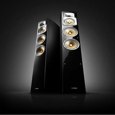 야마하ns3000