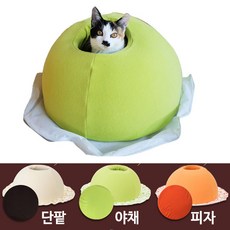 펫데이즈미묘