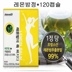 네추럴라이즈 로즈마린산레몬밤 정 정제 환 캡슐 프랑스산 레몬밥가루 알약형태 2박스, 500mg, 120정