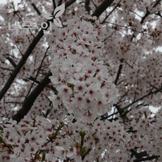fd91cede-a9a5-4a8f-88df-f83f547fa060.JPG