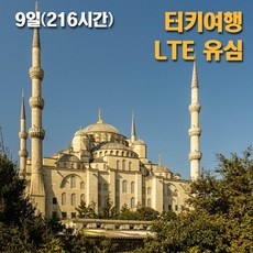 Turk Telecom 터키유심 8일 9일 10일 LTE 데이터전용유심, 9일 매일 LTE 500MB 총 4.5GB, 1개
