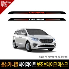 더뉴카니발브레이크오일
