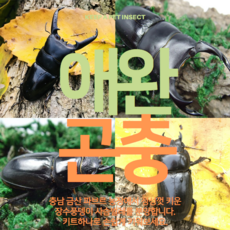19ab6d28-02ab-4e08-a069-64f66c5850f8.png