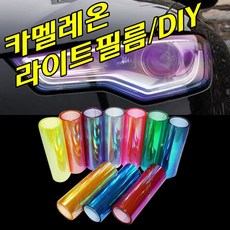 이지스킨카멜레온