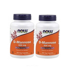 디노스쿨조기은퇴