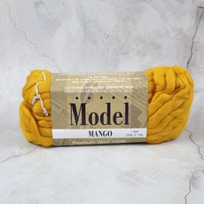 모델망고실