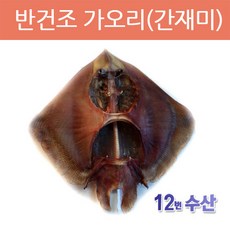 건가오리
