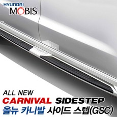현대모비스 더뉴카니발 올뉴카니발 사이드스텝(GSC) 옆발판, 판테라메탈(P2M)-크롬