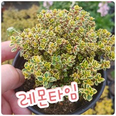 93aa4bfb-fb92-4de7-b18c-d0e1ab06b34b.jpg