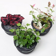 9dd9925b-9c39-4d30-bade-c49157dd5256.jpg