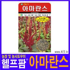 아마란200x