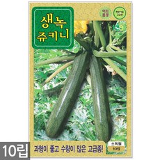 //상품명