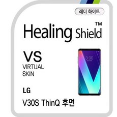 v30스킨