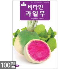 천수무씨앗