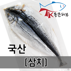 통큰어부 고소하고 담백한 국산 삼치 삼치고갈비 삼치구이, 1개, 삼치 450-520g