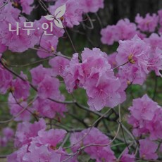 f6dd4ab8-1d10-4243-8a8e-98b8cae371c3.JPG