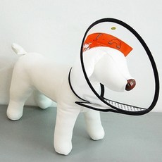 cucciolo