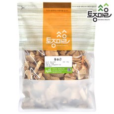 소나무뿌리