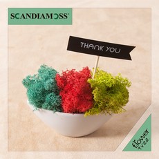 2e36b368-c95a-4e36-ae18-4624c8bffec8.jpg
