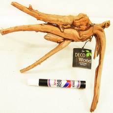 소라게유목