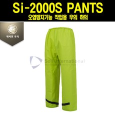 si-2000s