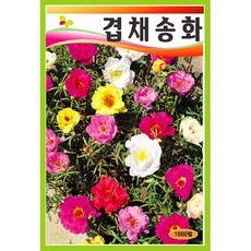 4d5a81b2-a4d7-49cb-9573-d5a78a1b2628.jpg