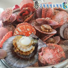 굴석화