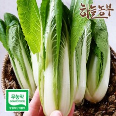 주암농원