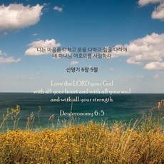 안경닦이100장