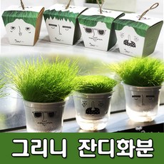 a3b99a0d-6eaa-47a0-9d06-85966065c3fc.jpg