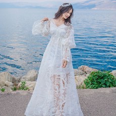 도도하니
