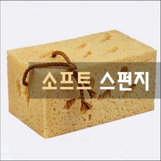 레디백스펀지