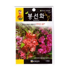 모칸도 세계 봉선화 꽃씨 100립