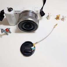 심플렌즈캡홀더