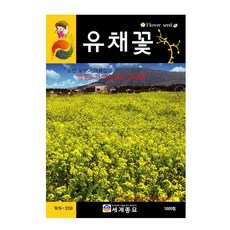 분꽃