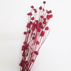 부케말리기캔들원데이