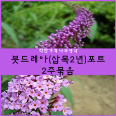 f1946c9a-902e-4563-981f-ce9bf64eef13.png