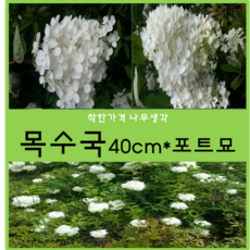 7f54e7eb-5392-47e5-916b-771844ef8c21.png