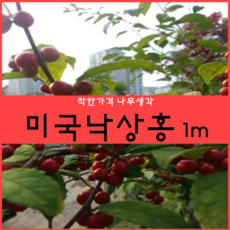 463420cb-80fa-4c18-ad4e-8a0c17e3636b.png