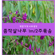 77022f84-293a-452e-9d9f-250f2f18731f.png