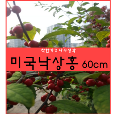 92301b77-2ebf-44a9-a6e0-b79eaacf202c.png