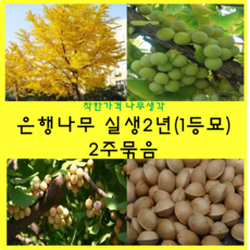 72dcd6d4-63e6-48c9-b4a2-5ab6845a686f.png