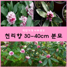 9913f68a-4409-4cef-996e-34bb33f71727.png