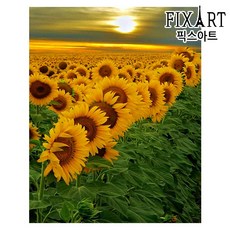 //상품명