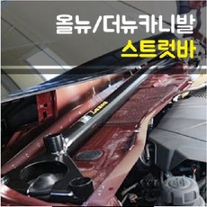 룩손 올뉴카니발/더뉴카니발 스트럿바