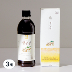 [국산 100%] 해솔당 통째로 갈아넣은 안동 생강청 천연꿀 함유, 3개, 1개입, 620g