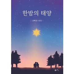 [델피노]한밤의 태양, 델피노, 김혜정