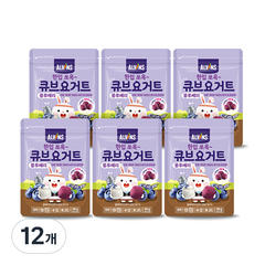 엘빈즈 한입쏘옥 큐브 요거트과자, 블루베리, 16g, 12개