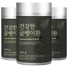 건강한 굼벵이환, 3개, 100g